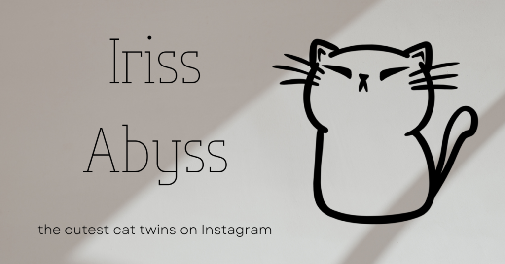 Get to know Iriss and Abyss, the cutest cat twins on Instagram.