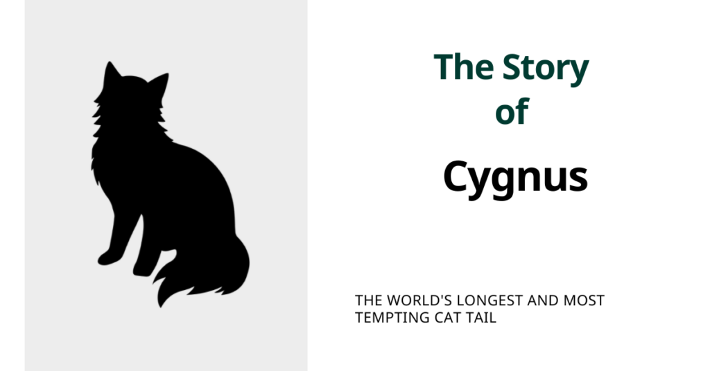 Cygnus, the World’s Longest and Most Tempting Cat Tail