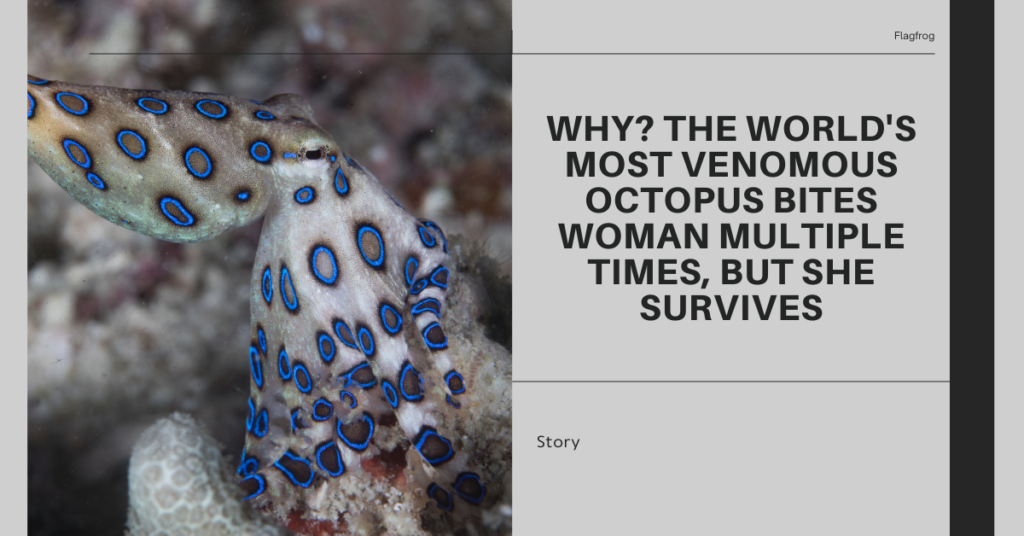 Why? The World’s Most Venomous Octopus Bites Woman Multiple Times, but She Survives